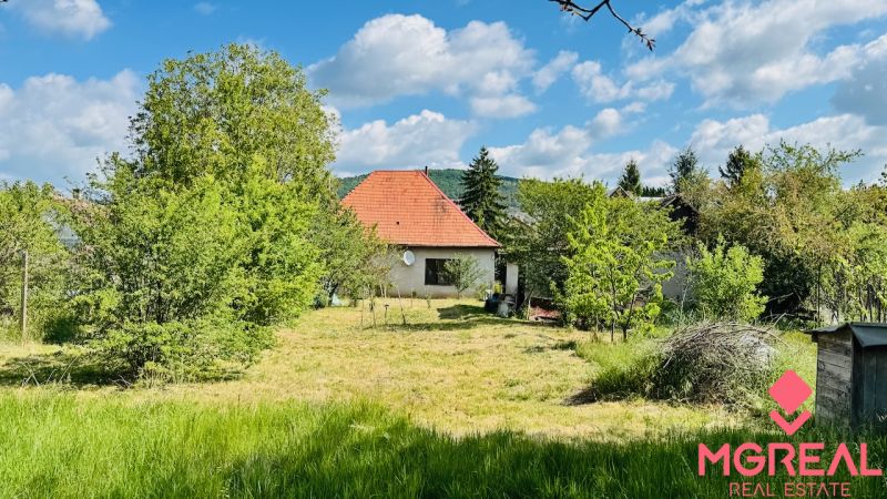 A family house in Pažiť surrounded by trees and a lawn with a red roof.