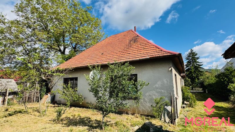 A family house in Pažiť with a red roof, surrounding greenery, and trees.