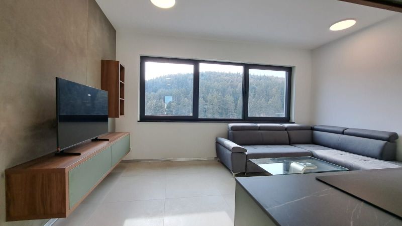 Living room in a 2-room apartment with a sofa, television, and a view of the forest.