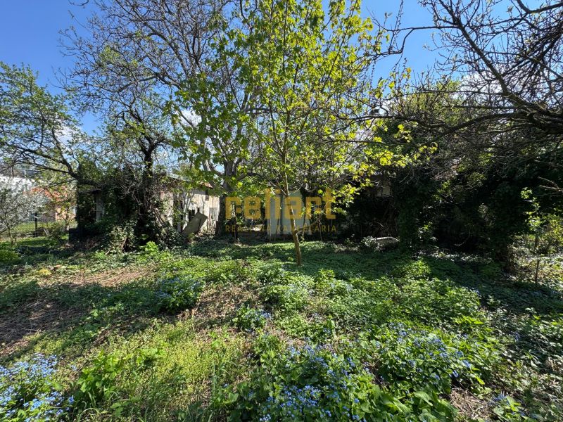 Garden at a family house on Na riviére Street in Bratislava - Karlova Ves.