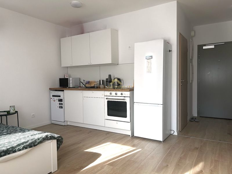Kitchen area in a studio apartment with wood-patterned flooring and white furniture.