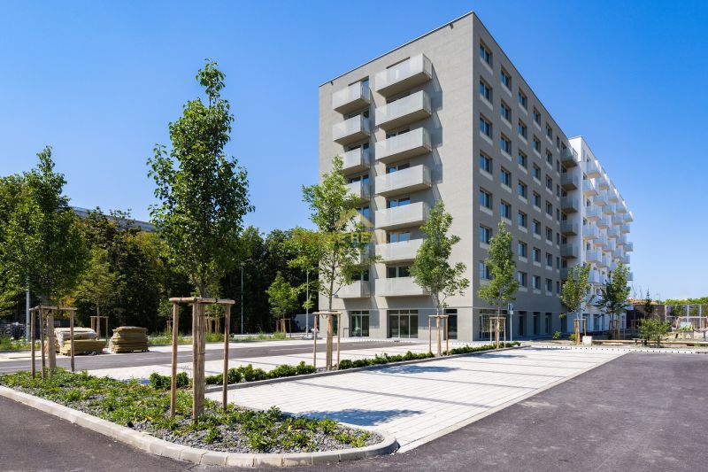 Apartment building on Ivanská cesta in Ružinov, Bratislava, surrounded by greenery and parking.