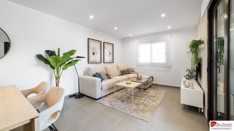 Living room in a 2-room apartment with a sofa, carpet, and houseplant.