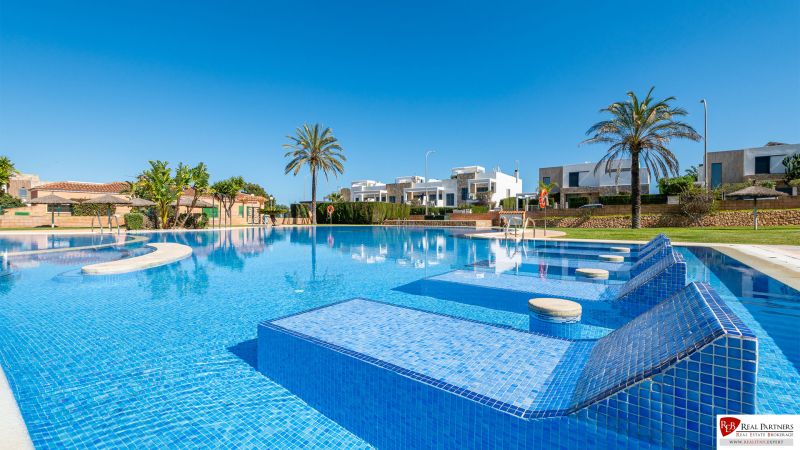 A swimming pool at a holiday apartment in Cala Murada, Mallorca, with palm trees and loungers.