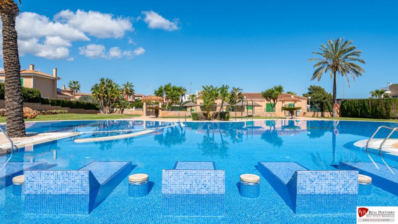 A swimming pool surrounded by palm trees in a holiday apartment Cala Murada Mallorca.