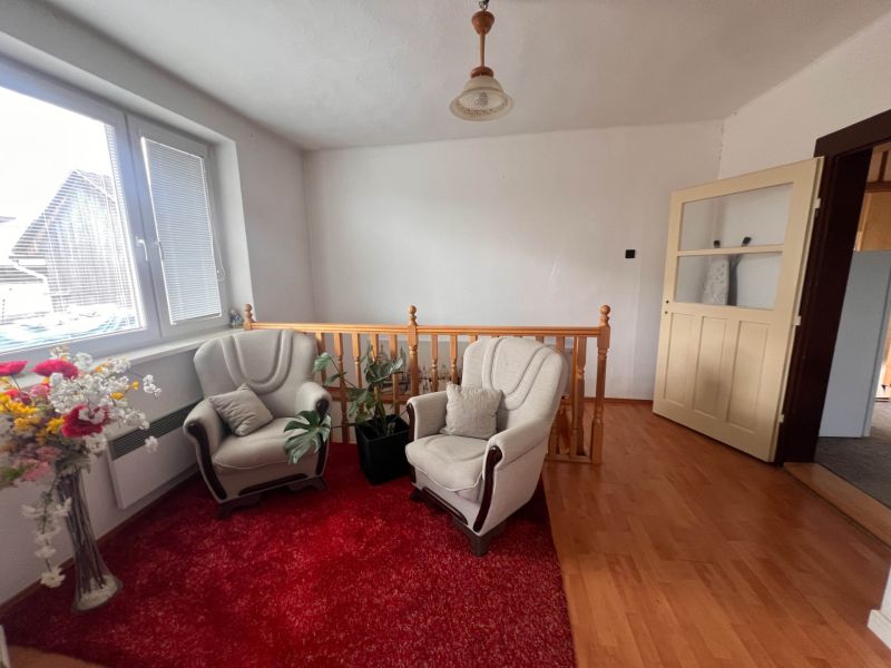Interior of a family house with sofas, a red carpet, and a wooden decor floor.