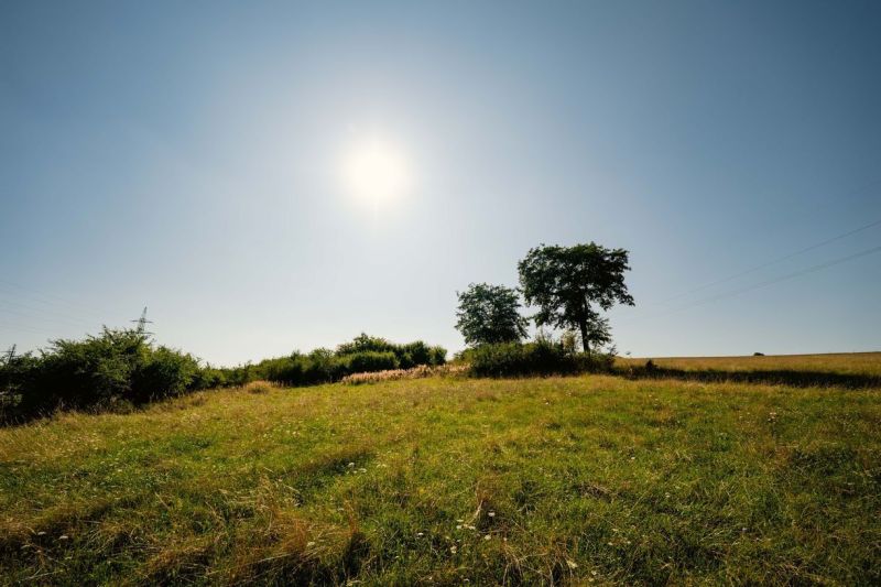 Green meadow with two trees on Partizánska Street, Banská Bystrica, Banská Bystrica District, Residential land.