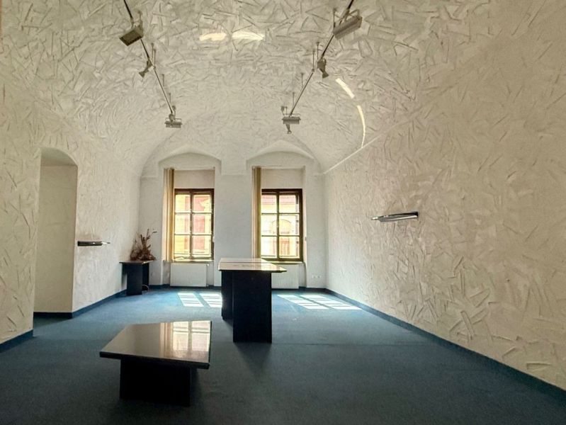The interior features unique properties with textured walls, a vaulted ceiling, and blue carpeting.