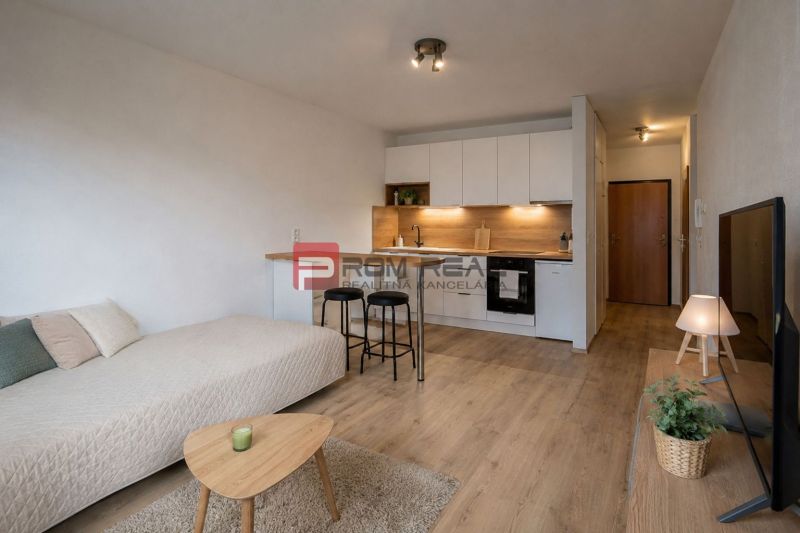 Recreational apartment with wood-decor flooring, sofa, kitchen, and television.