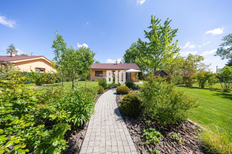 The garden of a family house in Bílkove Humence with trees, shrubs, and a paved walkway.