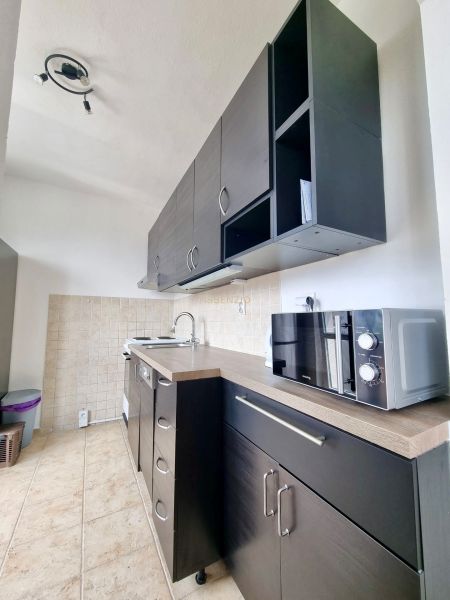 A kitchen in a 2-room apartment with dark cabinets and a microwave, floor with wood decor.