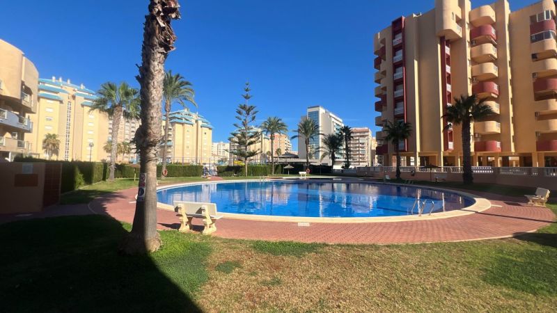 A pool surrounded by greenery and palm trees in La Manga del Mar Menor represents a recreational apartment.