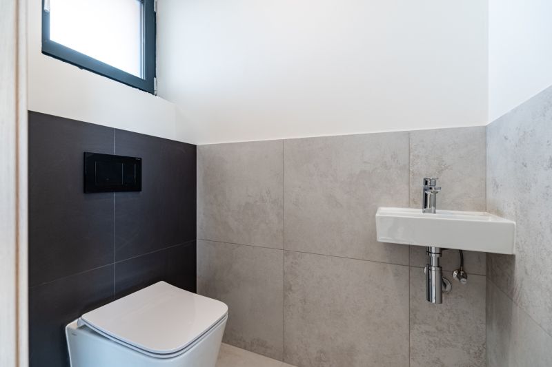 A toilet with a wall-hung WC and a washbasin in a family house.