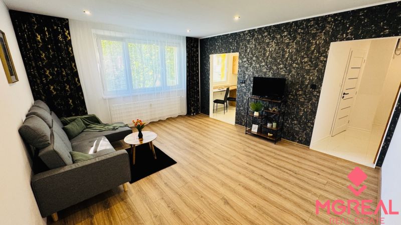 A bright living room in a one-bedroom apartment with a sofa, TV, and wood-patterned flooring.