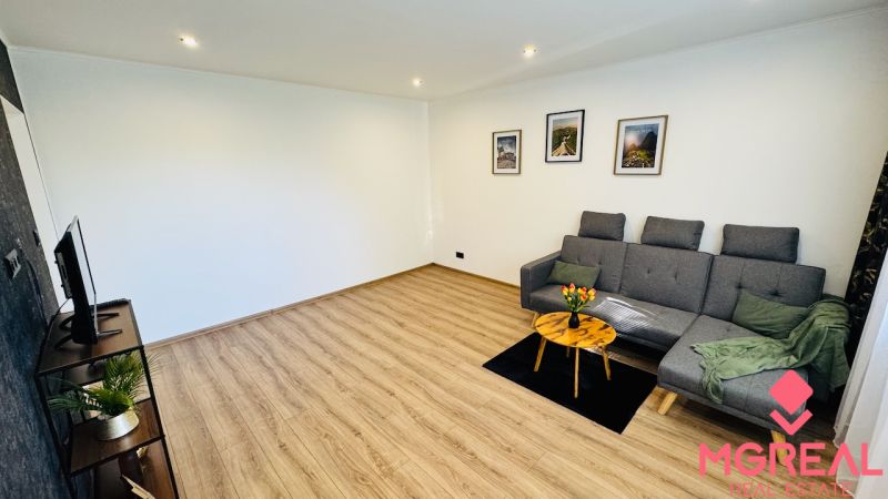 Living room in a studio apartment with wood-patterned flooring, a gray sofa, and a television.