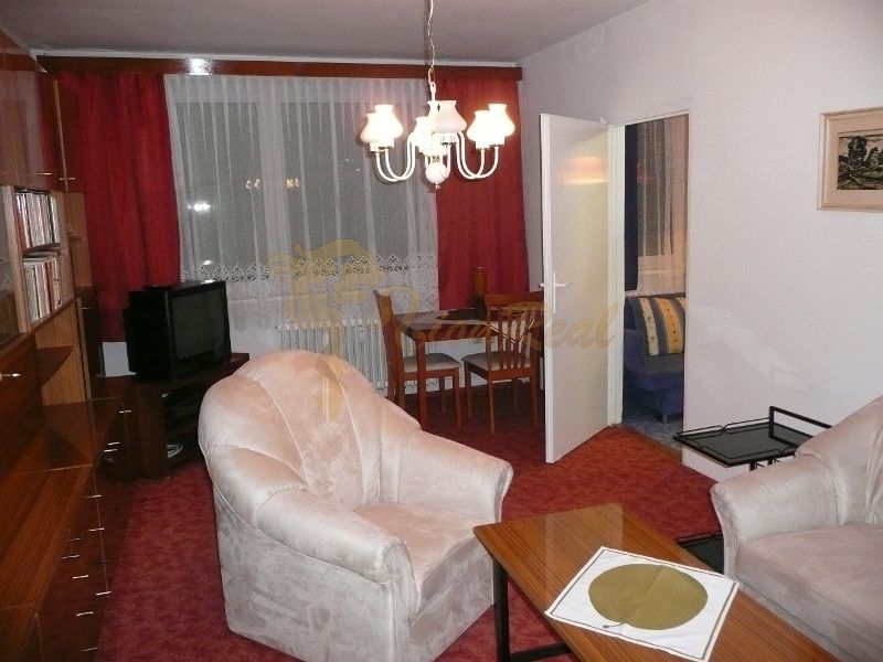 Living room with a red carpet, armchairs, and wooden cabinets in a 2-room apartment.