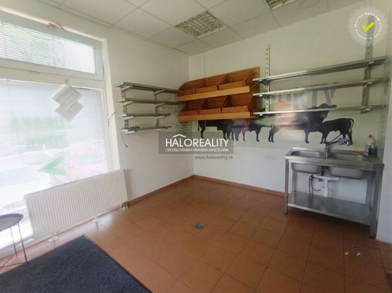 Commercial space with walls featuring cow graphics, shelves, and a sink, tiled floor.