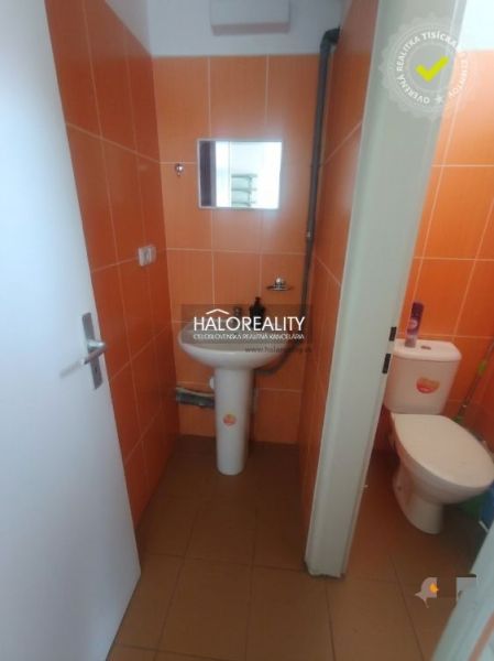 Orange-tiled toilets with a sink, mirror, and WC in commercial premises.