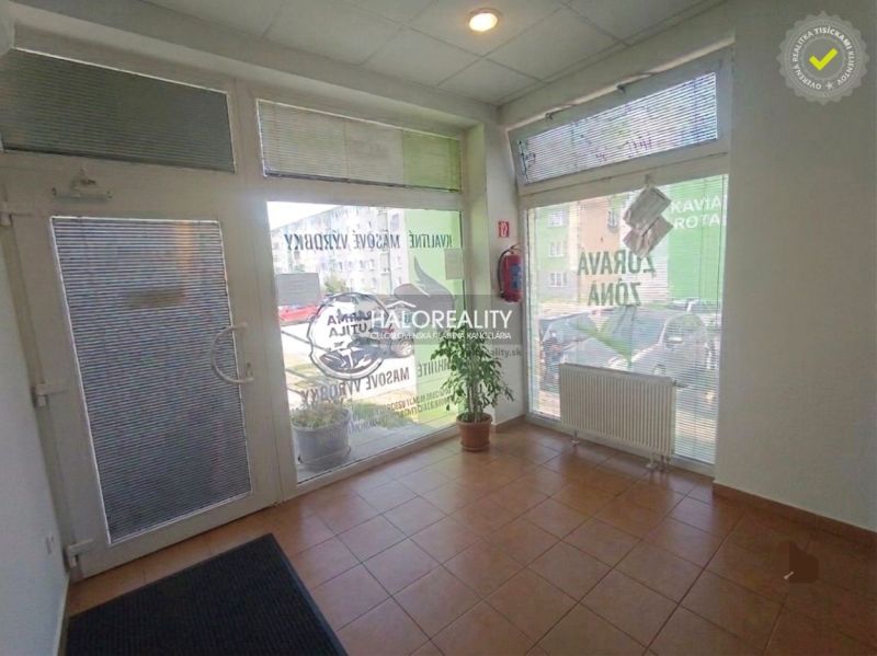 Commercial space with tiles, large windows, and a plant.