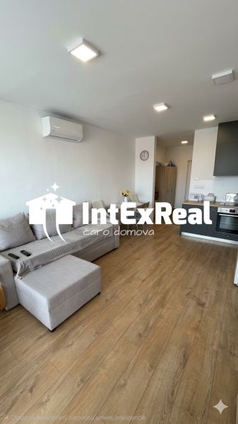 Living space of a one-room apartment with a sofa and wooden decor flooring.