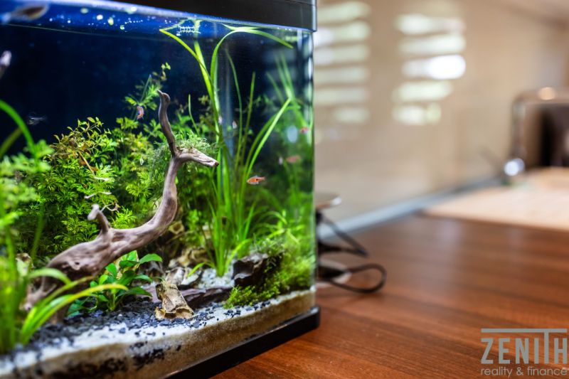 Aquarium fish and plants in a 3-room apartment with a wooden decor floor.