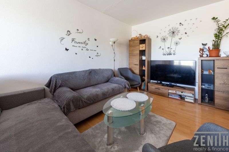 Living room with wood-patterned flooring, a sofa, a glass table, and a television.