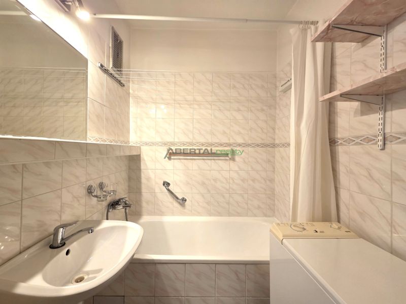 A bathroom with a shower and a bathtub in a studio apartment.