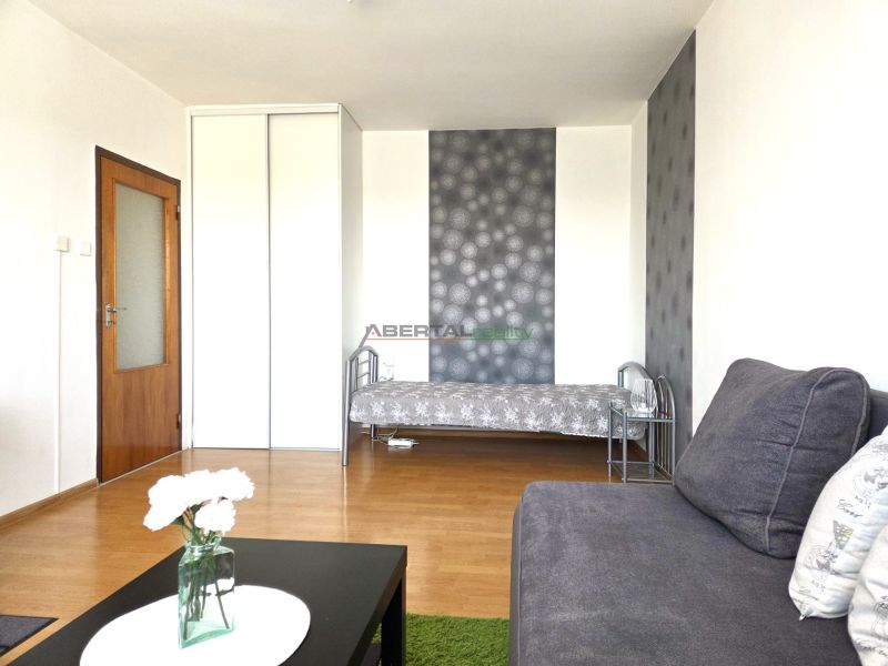 Living room of a one-room apartment with a sofa, bed, and wooden decor flooring.