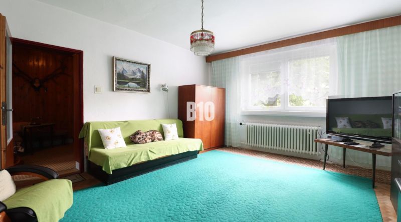 Living room with a sofa, television, and carpets, in a family house.