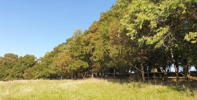 Kuchyňa Recreational land Sale reality Malacky