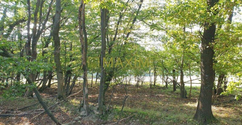 Kuchyňa Recreational land Sale reality Malacky