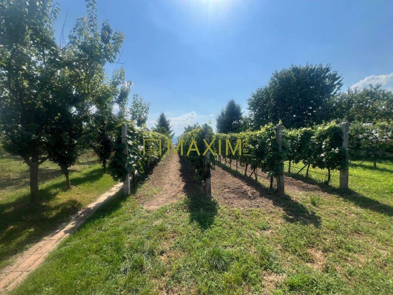 Prievaly Family house Sale reality Senica