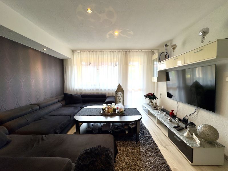 Living room in a 4-room apartment with a wooden decor floor and a dark sofa.