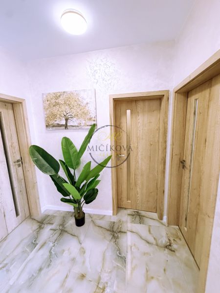 Wooden door and a plant in the interior of a 2-room apartment with tiles.