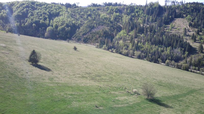 Panorama of agricultural and forest lands near Čierny Balog with individual trees.