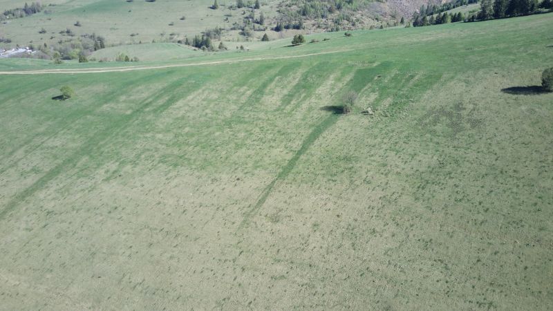 Green agricultural and forest lands in Čierny Balog with individual trees on the slope.