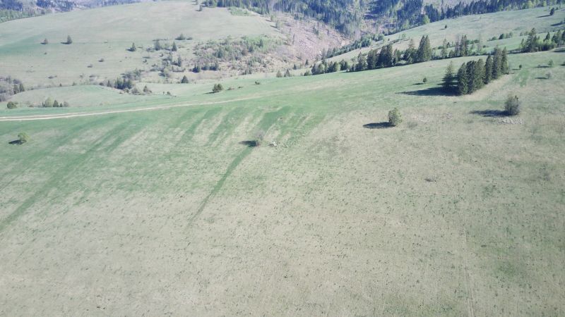 Hills and meadows in Čierny Balog, agricultural and forest lands with scattered trees.