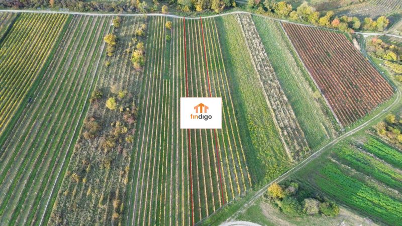 dji_fly_20251019_163556_166_1760884826968_photo.jpg