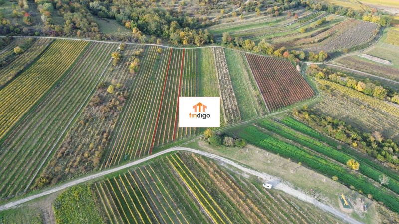 dji_fly_20251019_163708_174_1760884921351_photo.jpg