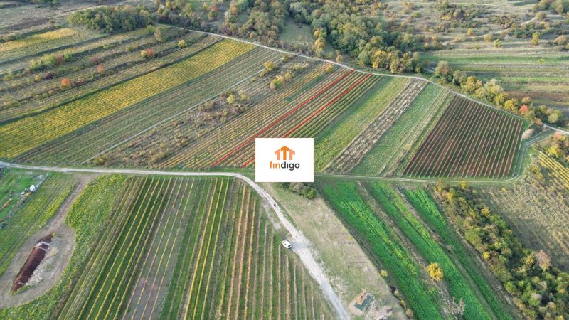 dji_fly_20251019_163802_179_1760884926301_photo.jpg