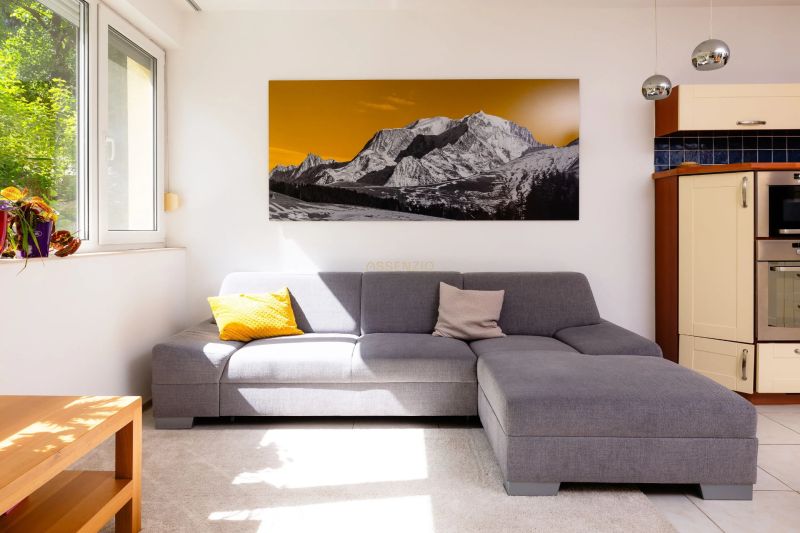 Living room in a two-room apartment, gray sofa, picture of mountains, light walls.
