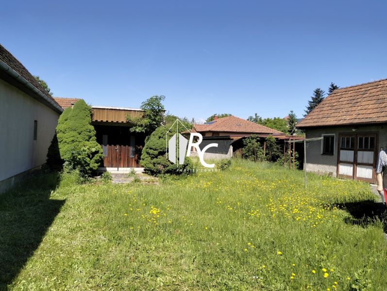 The family house on Štúrova Street in Sučany is surrounded by a lawn with dandelions.