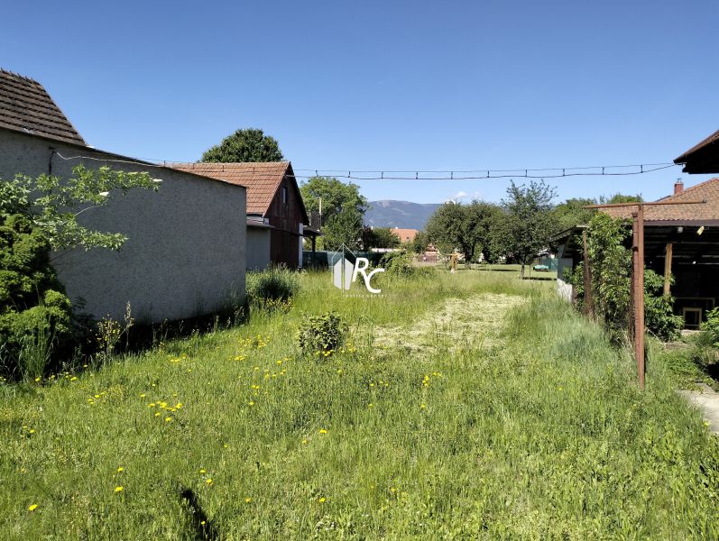 A garden at a family house on Štúrova Street in Sučany with grass and shrubs.