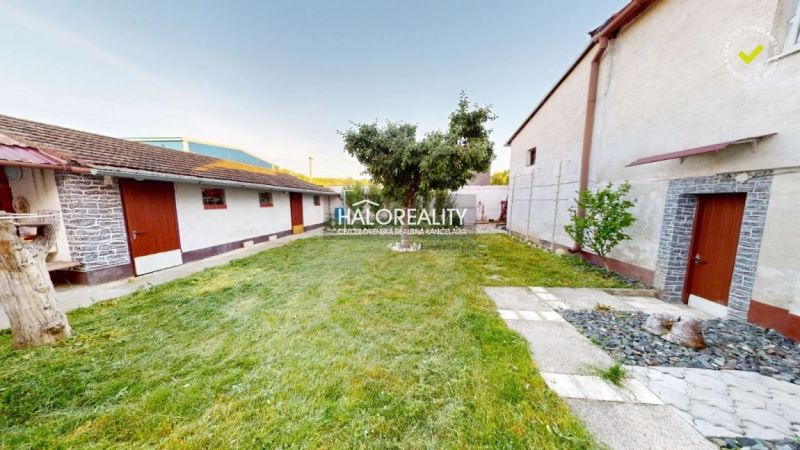 A garden of a family house in Senica with a lawn, a tree, and two buildings.