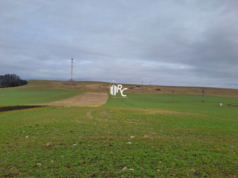 20260214_093553.jpg