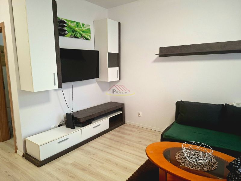 Living area of a studio apartment with a television, cabinets, a couch, and a wooden decor floor.