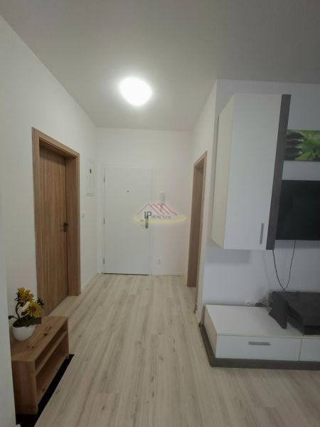 A hallway with white walls, a floor with a wooden decor, and a wardrobe in a studio apartment.