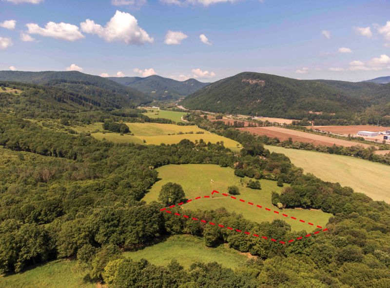 Meadow recreational plots surrounded by forests and meadows in Ostrá Lúka.