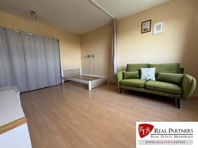 A room in a one-bedroom apartment with a sofa, bed, and wood-patterned flooring.