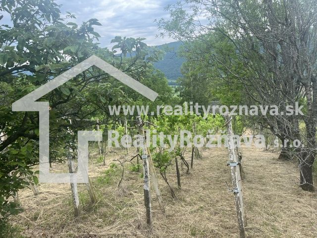 Vineyards in the picturesque region of Jablonov nad Turňou surrounded by greenery and hills.